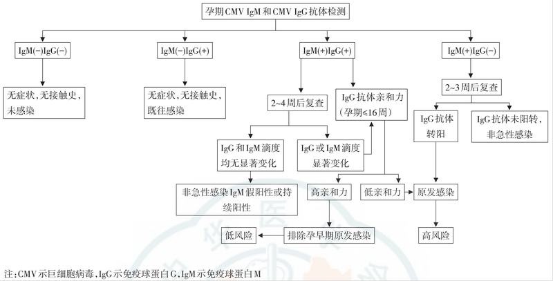 TORCH检测试剂研发抗原选择策略综述 TORCH检测试剂研发抗原选择策略综述
