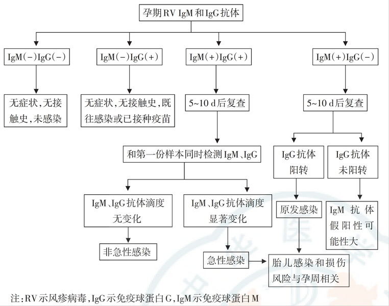 TORCH检测试剂研发抗原选择策略综述 TORCH检测试剂研发抗原选择策略综述