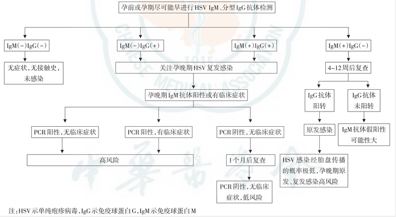 TORCH检测试剂研发抗原选择策略综述 TORCH检测试剂研发抗原选择策略综述
