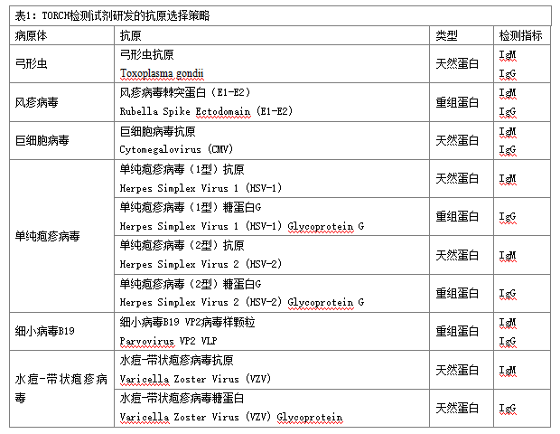 TORCH检测试剂研发抗原选择策略综述 TORCH检测试剂研发抗原选择策略综述