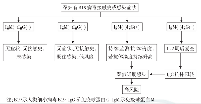 TORCH检测试剂研发抗原选择策略综述 TORCH检测试剂研发抗原选择策略综述